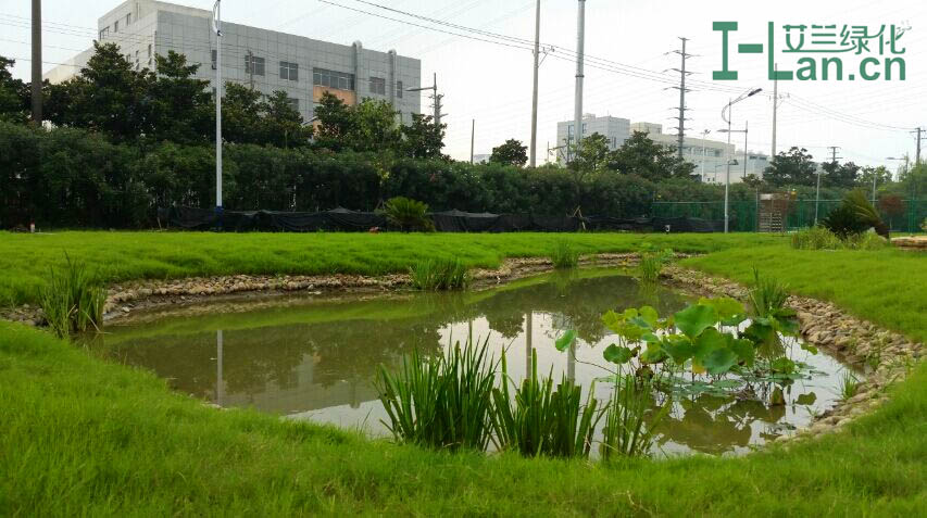 軟底魚(yú)池